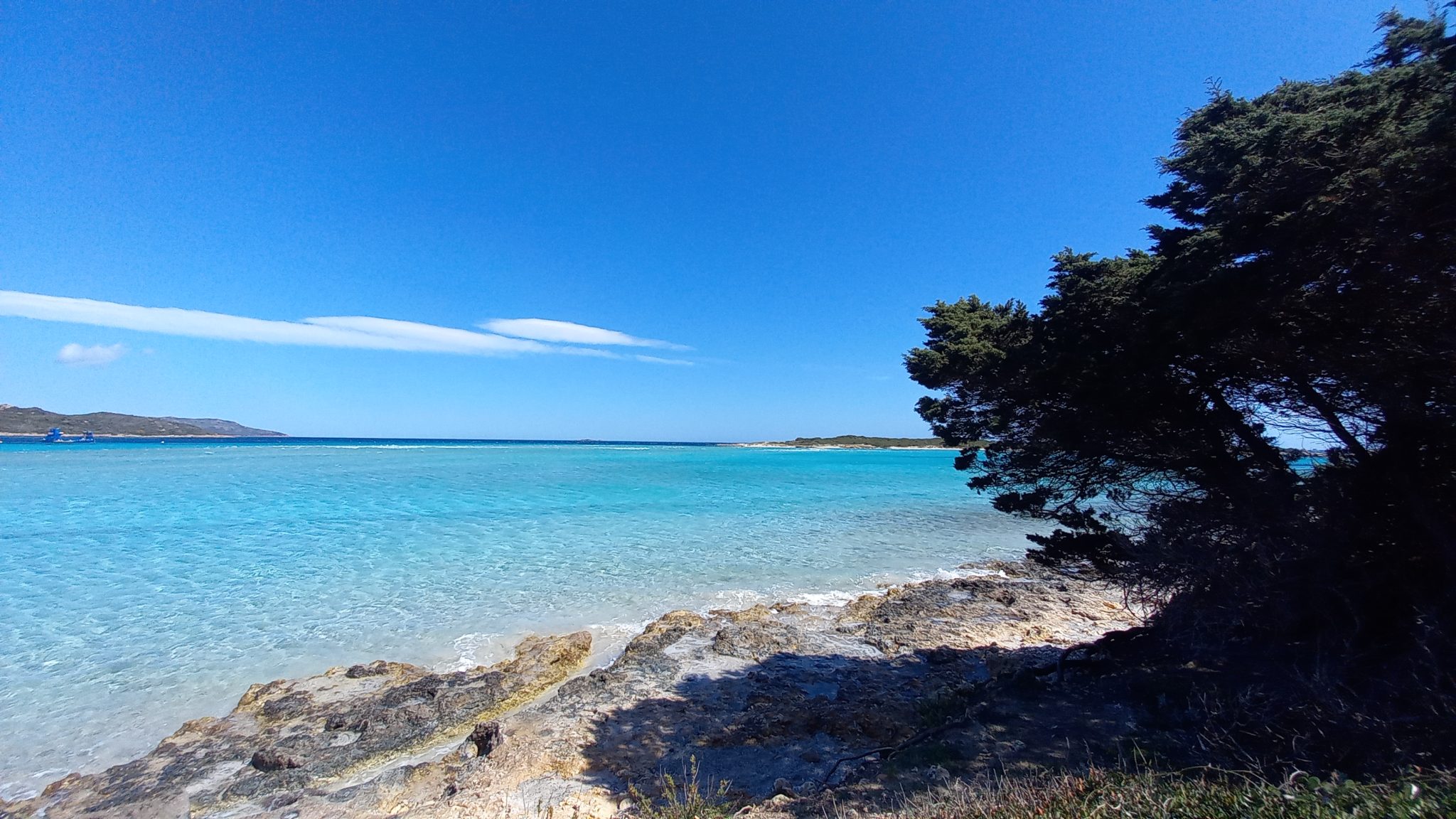 NATURE CORSE (31)